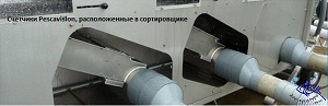 Сортировщик рыбы со встроенными счетчиками  Heliovision 40, 50 Faivre, Франция