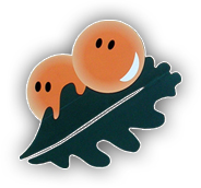 Икра Dabie, Польша