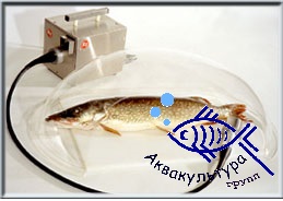 Ручная чешуесъёмная машинка КТ, Финляндия