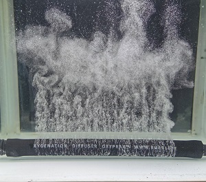 Шланг перфорированный OXY