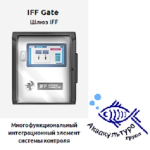 Автоматическая измерительная система IFFMan