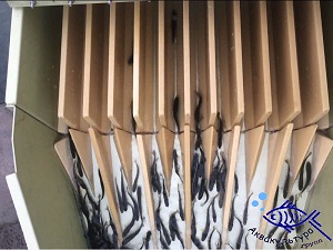 Рыбный счетчик NT-12 NARWALTEC