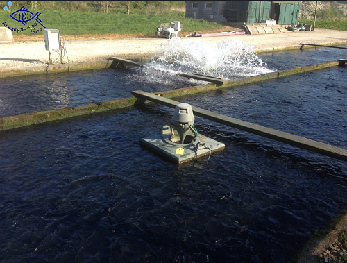 Аэратор фонтанного типа FLOBULL Faivre