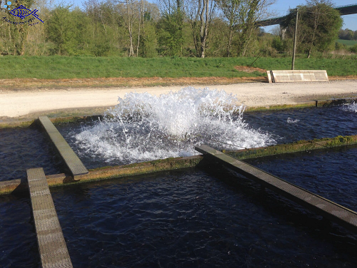 Аэратор фонтанного типа FLOBULL Faivre