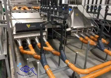 Счетчик рыбы VAKI MACRO EXEL