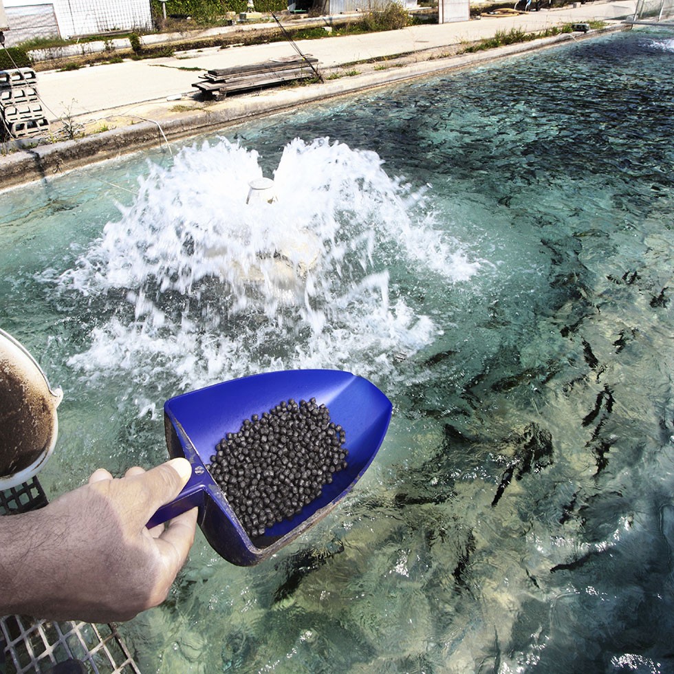 Совок FIAP profifeed, Германия