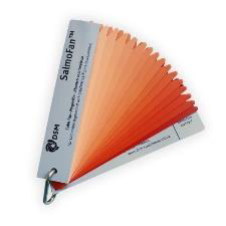 Цветовой веер для лососевых, SalmoFan, DSM Германия